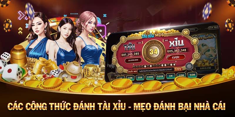 vip79-Tận hưởng cảm giác tin cậy với trang cược xanh chín!